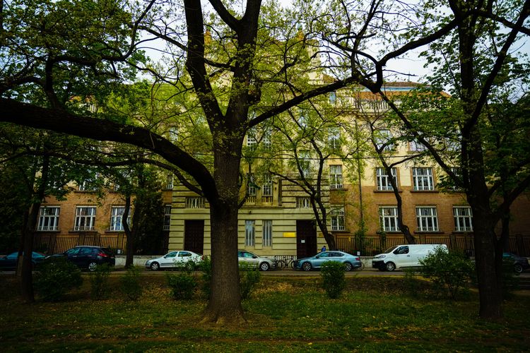 Villamosmérnök oktatót keresünk