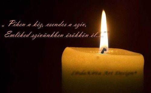 Faragó Sándor tanár úr